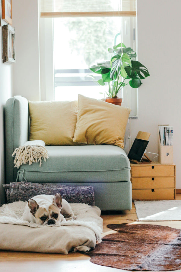 The Function of Minimalism in Home Décor