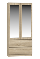 SS-90 Malwa Mirror Wardrobe