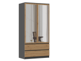 SS-90 Malwa Mirror Wardrobe