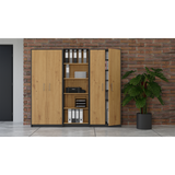 Oliv 2D Storage Cabinet