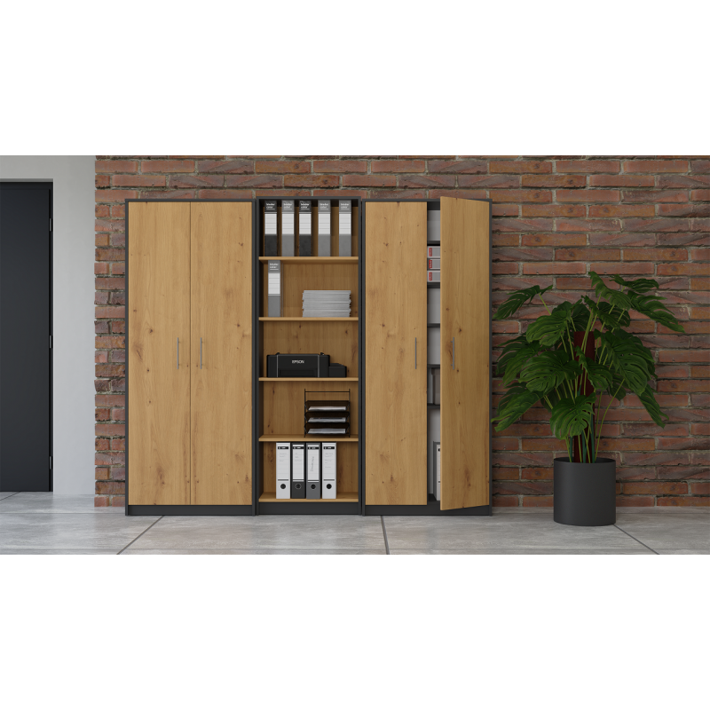 Oliv 2D Storage Cabinet