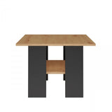 Salon Moderna Coffee Table